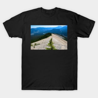 Lone Pine on the mountains top T-Shirt